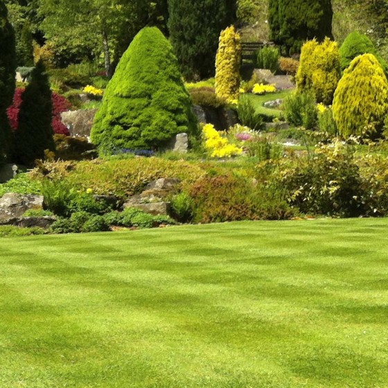 Country Lawn Care Inc Landscaping and Mowing Services