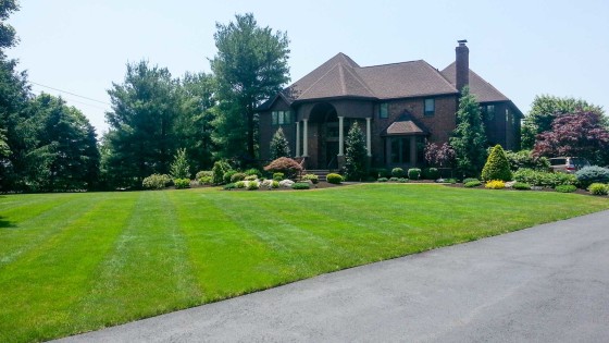 Country Lawn Care Inc residential lawn rehabilitation