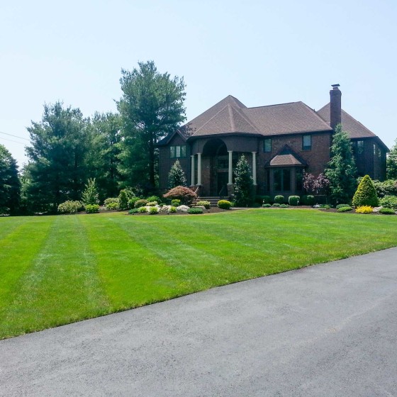 Country Lawn Care Inc residential lawn rehabilitation